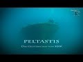 Peltastis - The Ghost Ship of Krk