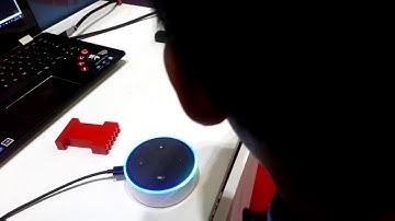 Lego EV3 Robotic Pet voice controlled by Alexa Echo dot.