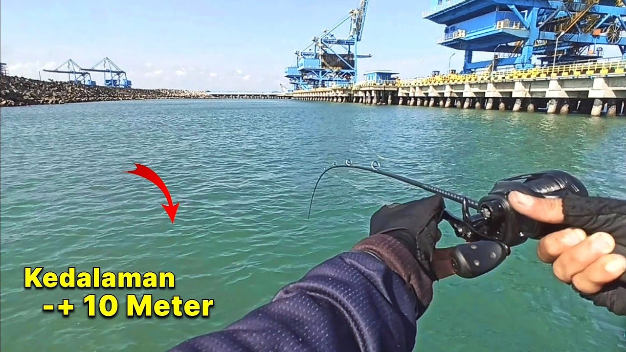 TERNYATA.!! Di Pltu Cilacap Banyak Ikan Baby GT Nya..