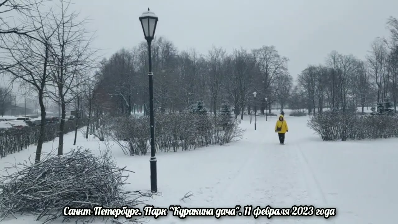 Санкт-Петербург. Парк "Куракина дача". 11 февраля 2023 года
