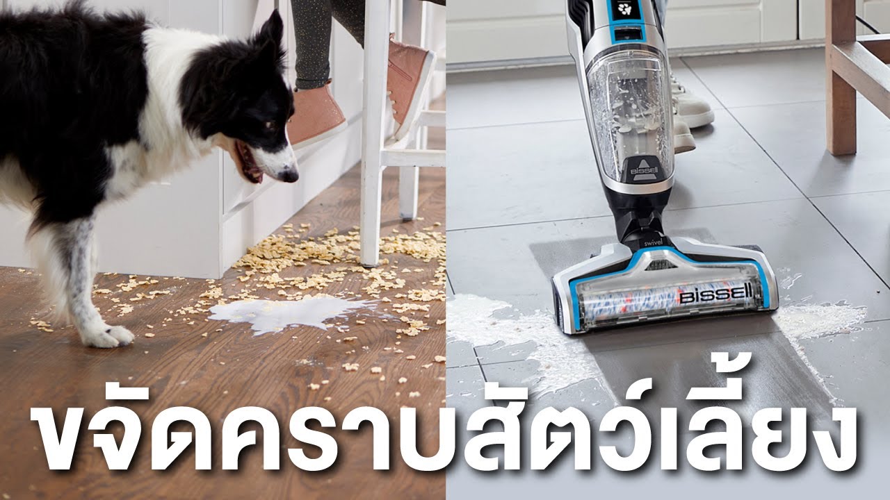 LIFE HAPPEN PET SERIES BISSELL CROSSWAVE PET PRO YouTube