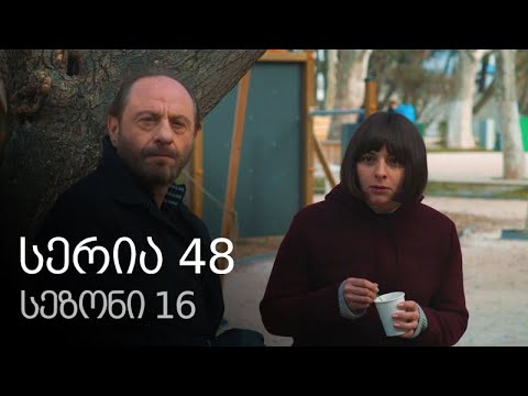 ჩემი ცოლის დაქალები - სერია 48 (სეზონი 16)