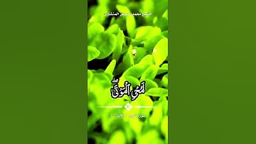 الشيخ محمد صديق المنشاوي سورة الروم الآية ٥٠