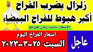 اسعار الفراخ البيضاء اليوم/ سعر الفراخ البيضاء اليوم السبت ٢٥-٣-٢٠٢٣ في مصر