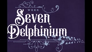 BLUE ROSE: Week Seven — Delphinium