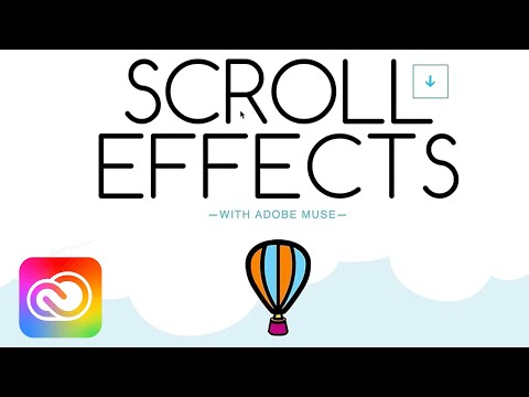 Scroll Effects &