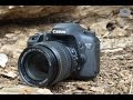 Canon EOS 7D - Обзор Продвинутой Репортажной Камеры Среднего Ценового Диапазона