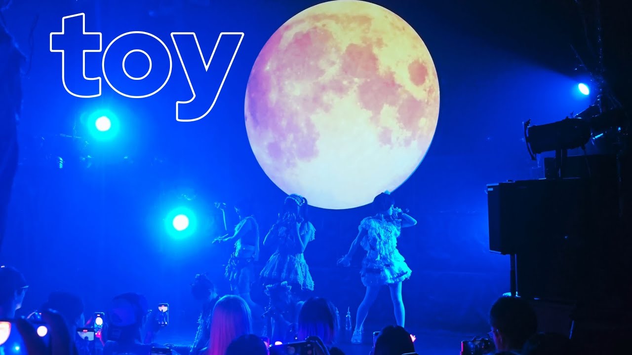 「toy」diig　2025.07.14 diig and…vol.6