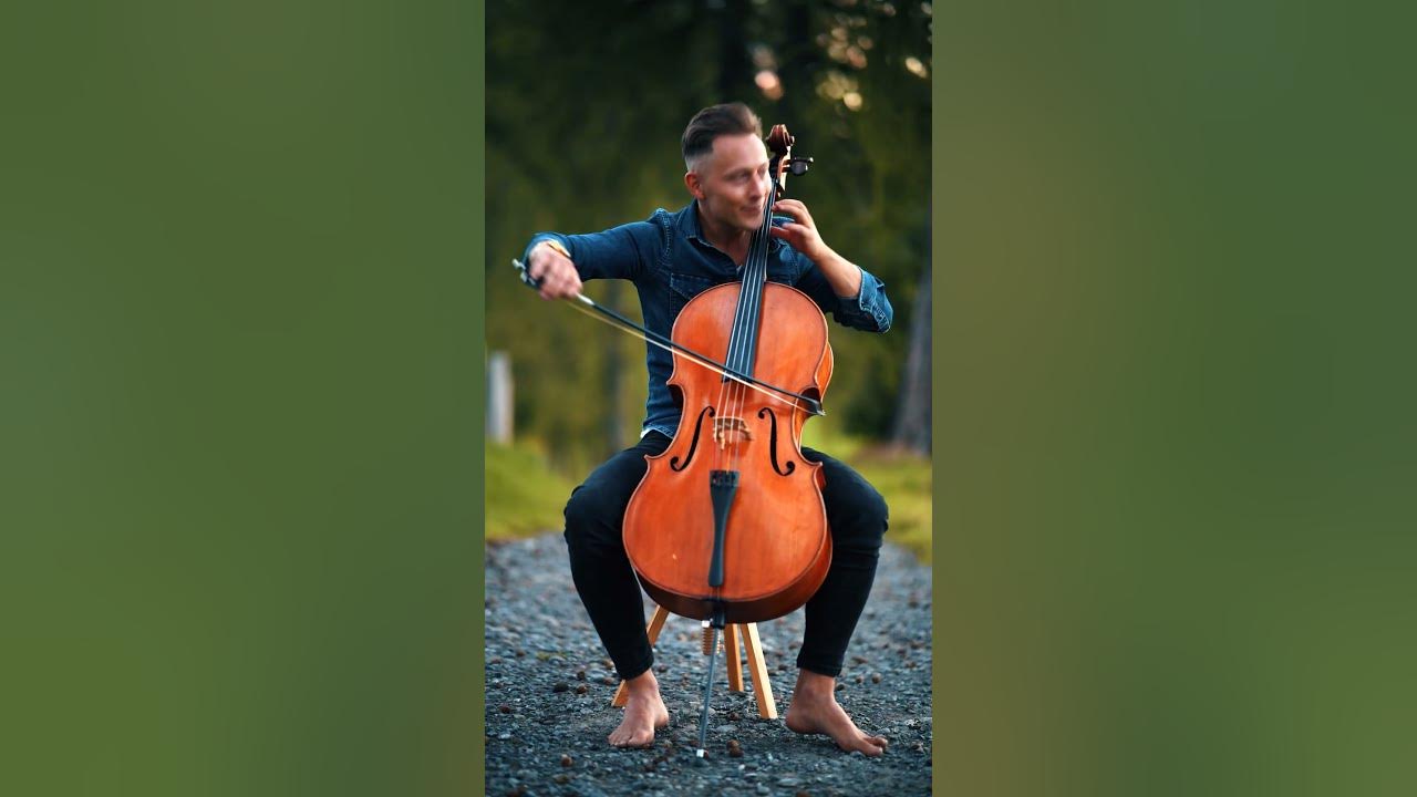 Believer - Imagine Dragons#cello #cellist #believer #imaginedragons #song #music #cellocover