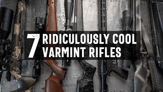 7 Excellent Varmint Rifles