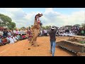 Capture de la vidéo ऊँट का ऐसा डांस राजस्थान मे पहली बार,खरगोश डांस||Camel Dance||Rajasthan Dj Song#Viral #Camel #Dance