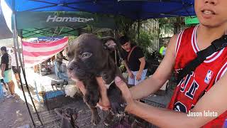 PASIG PET MARKET UPDATE APRIL 20,2024