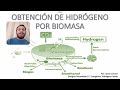 OBTENCIÓN DE HIDRÓGENO A TRAVÉS DE BIOMASA