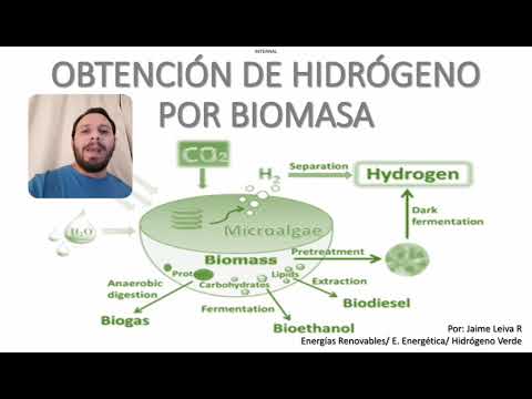 Vídeo: Cómo Hacer Biomasa A Partir De Individuos - Vista Alternativa