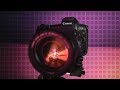 The Evolution of Autofocus - Canon EOS R vs Sony a7 III vs Panasonic G9