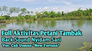 Full Aktivitas Petani Lele Tambak Lamongan Back Sound Lagu Nyidam Sari Voc. Cak Usman (New Fortuna)
