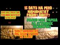 PAANO ANG TAMANG PAG HANDLE NG ITLOG SA INCUBATOR | TIPS SA PAG IINCUBATE NG ITLOG | BACKYARD