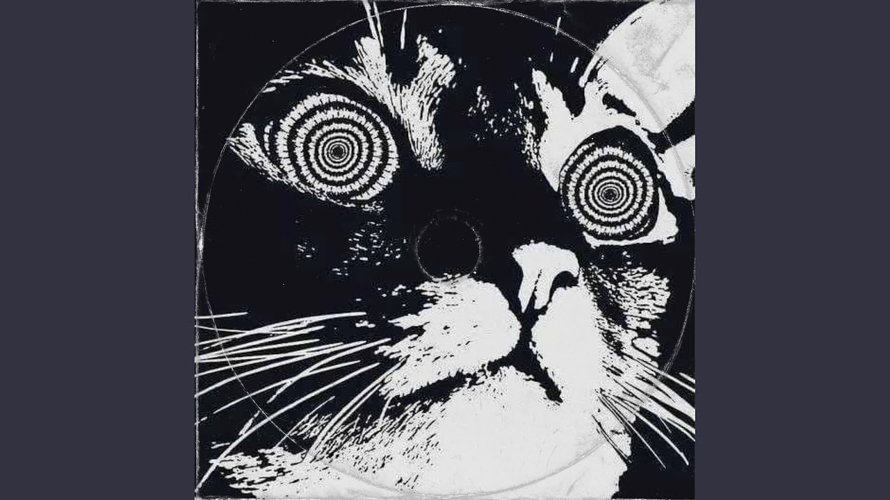 YouTube पर #husk (feat. The Girl Next Door) देखें YouTube पर #husk (feat. The Girl Next Door) देखें