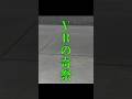 【VRChat】奇祭「ファンタズム」開幕──現実では絶対に見れない世界 #vrchat #shorts #そばぷろっ