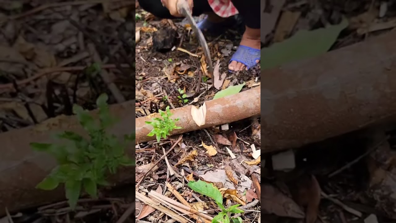 Start building barns, build life on the mountain#