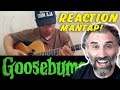 Goosebumps theme song (cover gitar) ALIP BA TA - REACTION REVIEW - @Alip_Ba_Ta