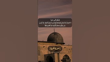 سورة التوبة الآية ٢٣ بصوت الشيخ محمد صديق المنشاوي