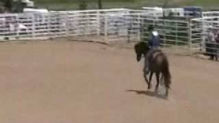 Taylor Lang Reining