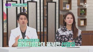 무너진 전신 건강 되돌리는 근육 충전 특급 솔루션! | TV 주치의 닥터 지.바.고 363 회