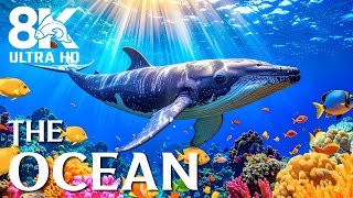 Colors Of The Ocean 8K ULTRA HD - The Best Sea Animals & Soothing Music