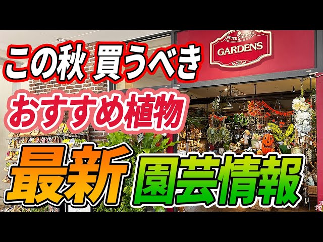 アメタマです。他の方はお控えください。ガーデンセットおまけ付き sddefault.jpg