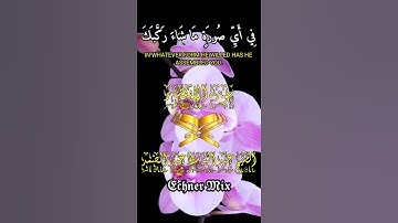 حالات واتس - سورة الانفطار الاية( 6 ) - الشيخ | عبد الباسط عبد الصمد