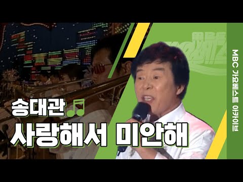 사랑해서 미안해 L 송대관 L 뭐가 미안한데 
