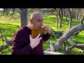 Pan Flute Medley [Valentin Tirziu]