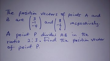 How to find the position vector of a point | Vectors