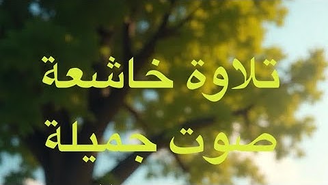 تلاوة من سورة العكبوت بصوت القارئ نايف السالم