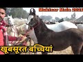 रेहमान सरपंच लेकर आया नुकरी और चंबी बच्चियां | Muktsar Mela 2021 | Maghi Mandi