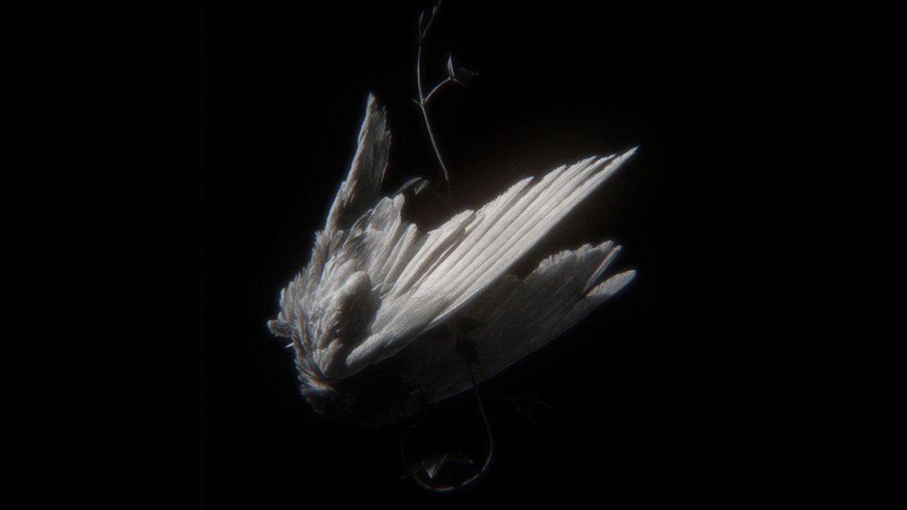 [FREE FOR  PROFIT] Melodic Type Beat - 