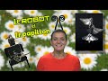 Le robot et le papillon   zds37