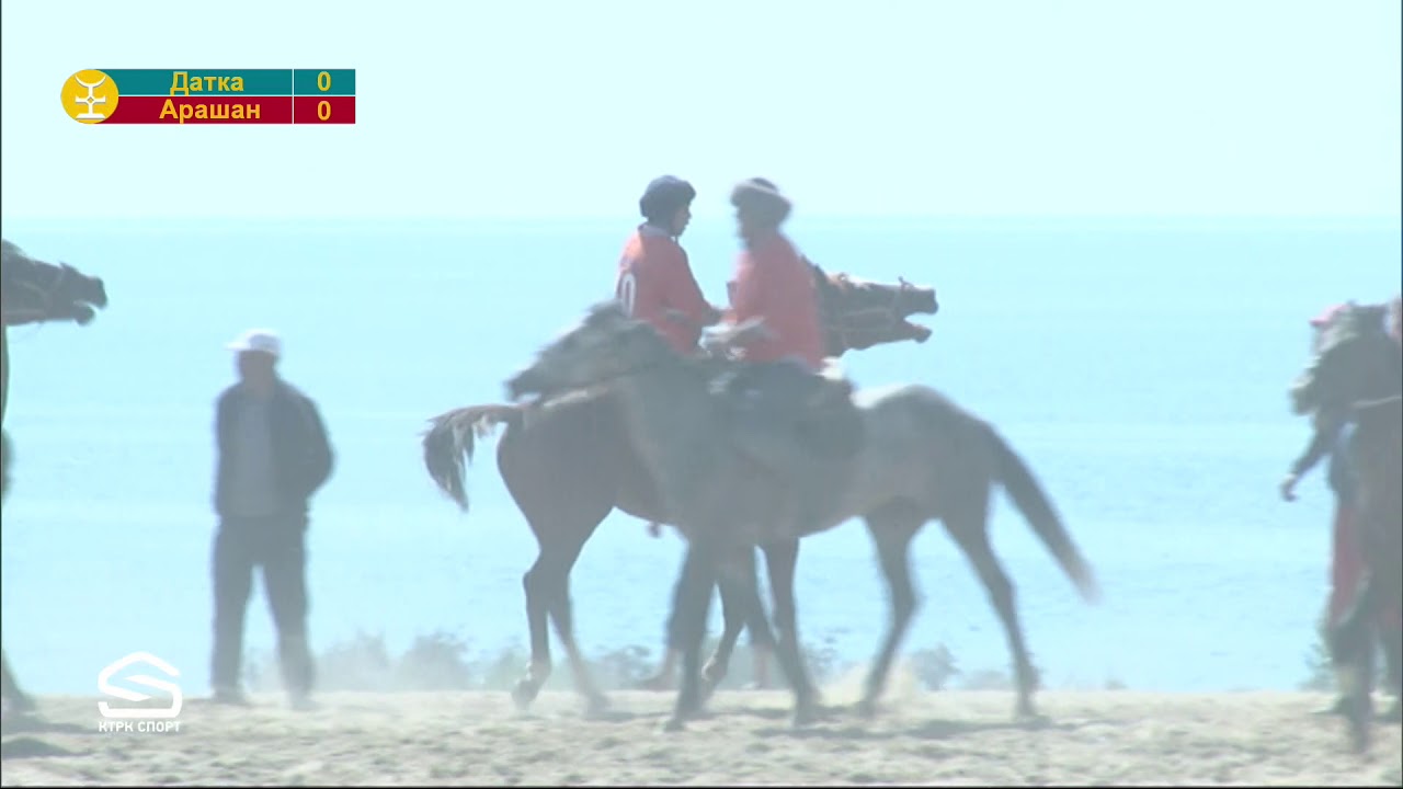 Көк бөрү Датка -Арашан