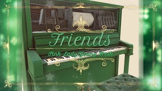 ピンクレディーヤングフレッシュフレンズオルゴール自動演奏アップライトピアノ型オルゴールPink Lady Young Freshfriendsmusic Box Cover