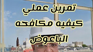 تمرين عملي كيفيه مكافحه الباعوض/  Mosquitoes / flying insects/ The law