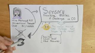 Sensory Processing, Profiles and Challenges in Down Syndrome