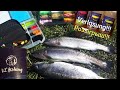 Ловля форели на силикон. Как поймать форель. Trout Area Forellenangeln. Angelpark Caster