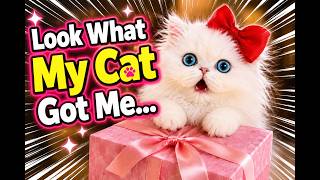 What My Cat Got Me Melted My Heart💖 #cats #catvideo #kitty #catlover