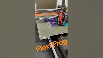 Flexi Frog #shorts #3dprinting #frog