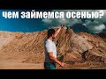 #21 Новая кофейня, МЧС и котики, и поиски камня