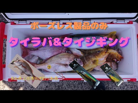 ボーズレス製品のみ】高知県土佐清水市沖タイラバ＆タイジギング