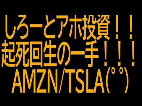 【楽天レバナス】２００万円！！テスラ一括投資！！