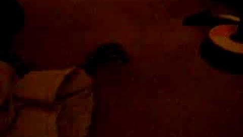 Jungle x Diamond Carpet Python Cross