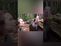 Deep Conversations with Frank the Turkey
